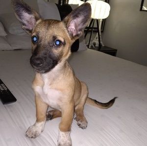 Meet your Posher, Iván